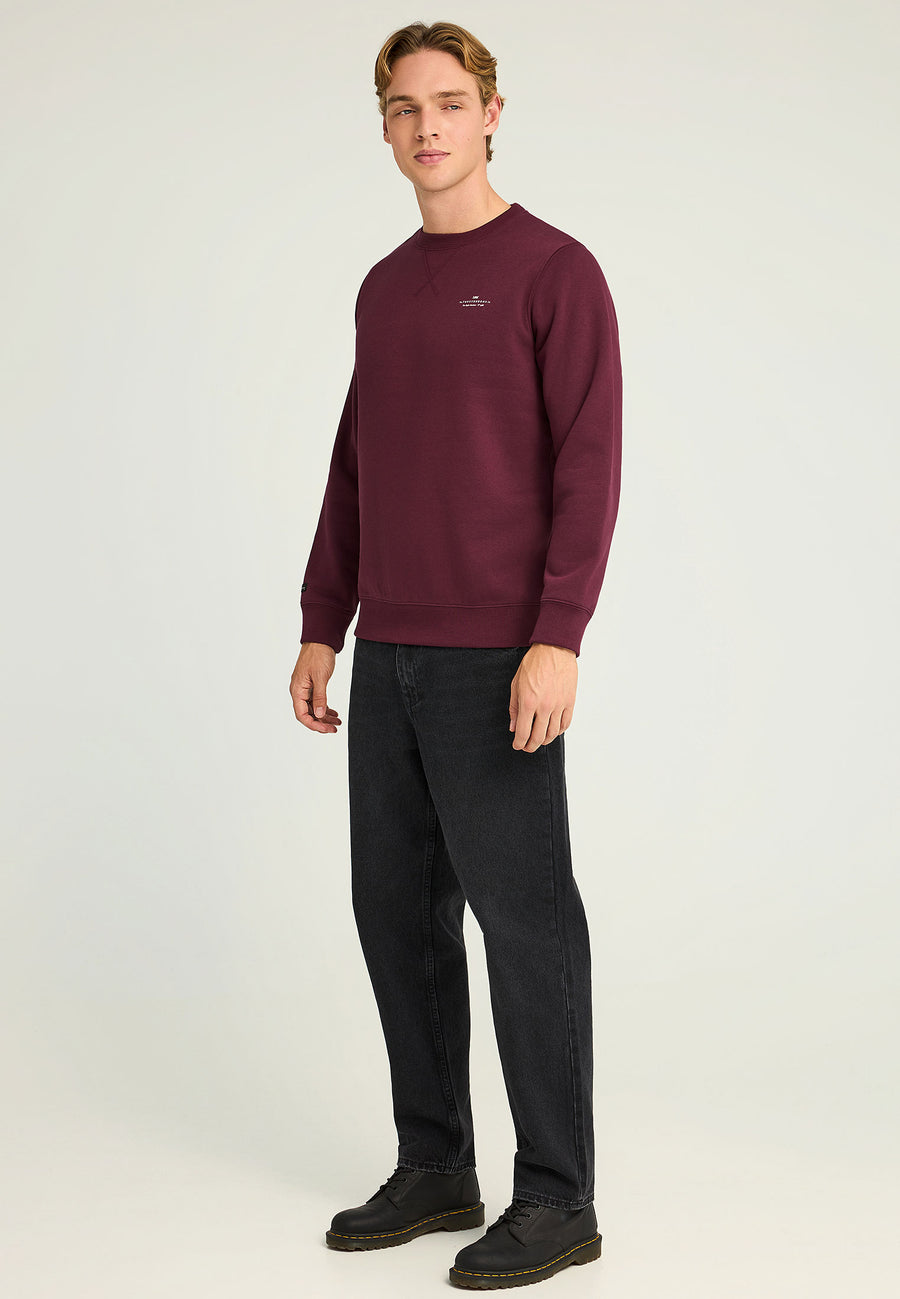 Hanorac cu guler rotund pentru bărbați - Esențiale