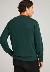 Pulover bărbătesc cu croială regulată, tricotat melanj