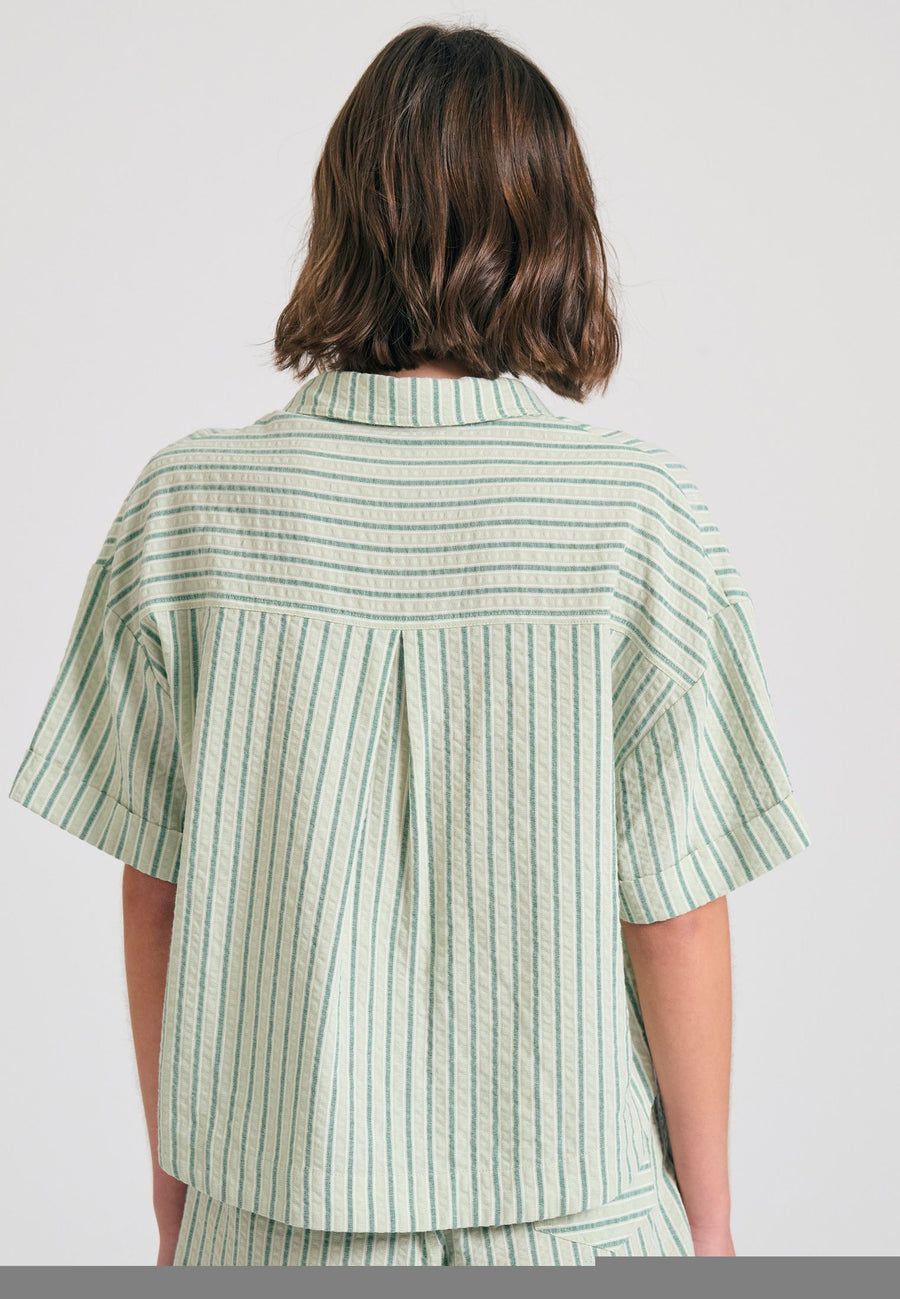 SAGE GREEN