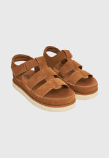 TAN