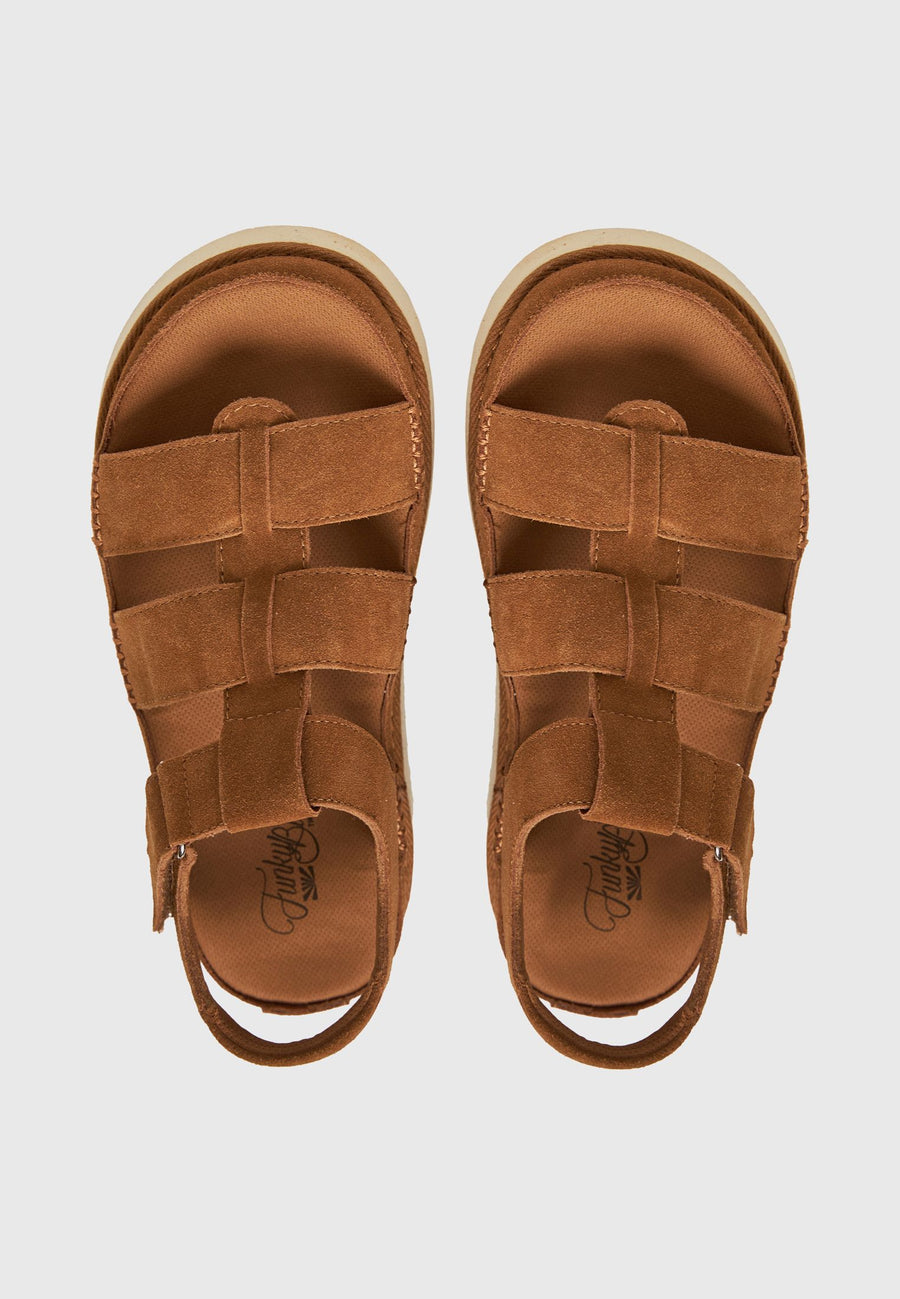 TAN