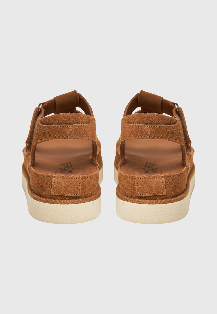 TAN