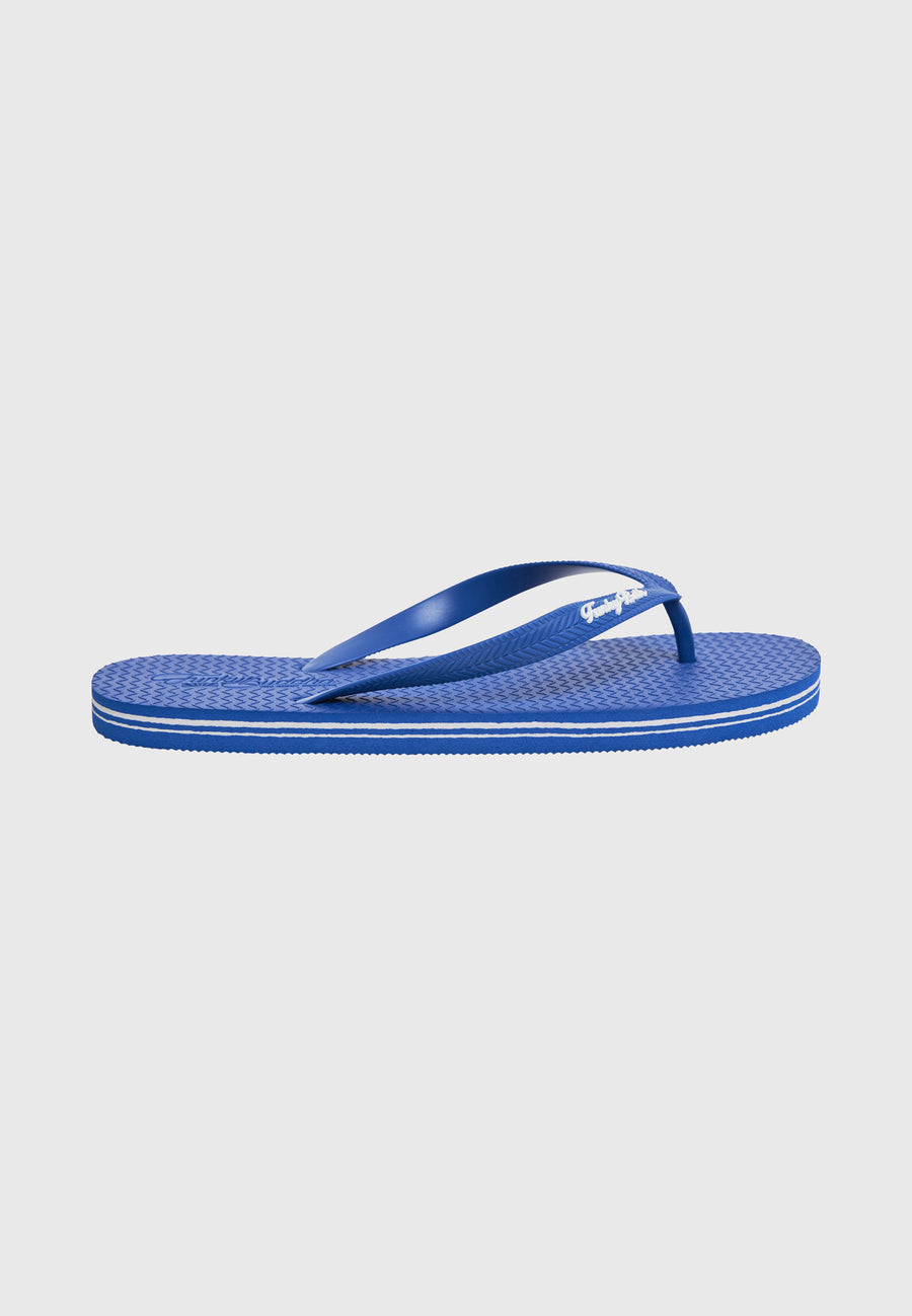 ELECTRIC INDIGO