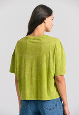 Oversized grament dyed t-shirt with photographic print - Avocado