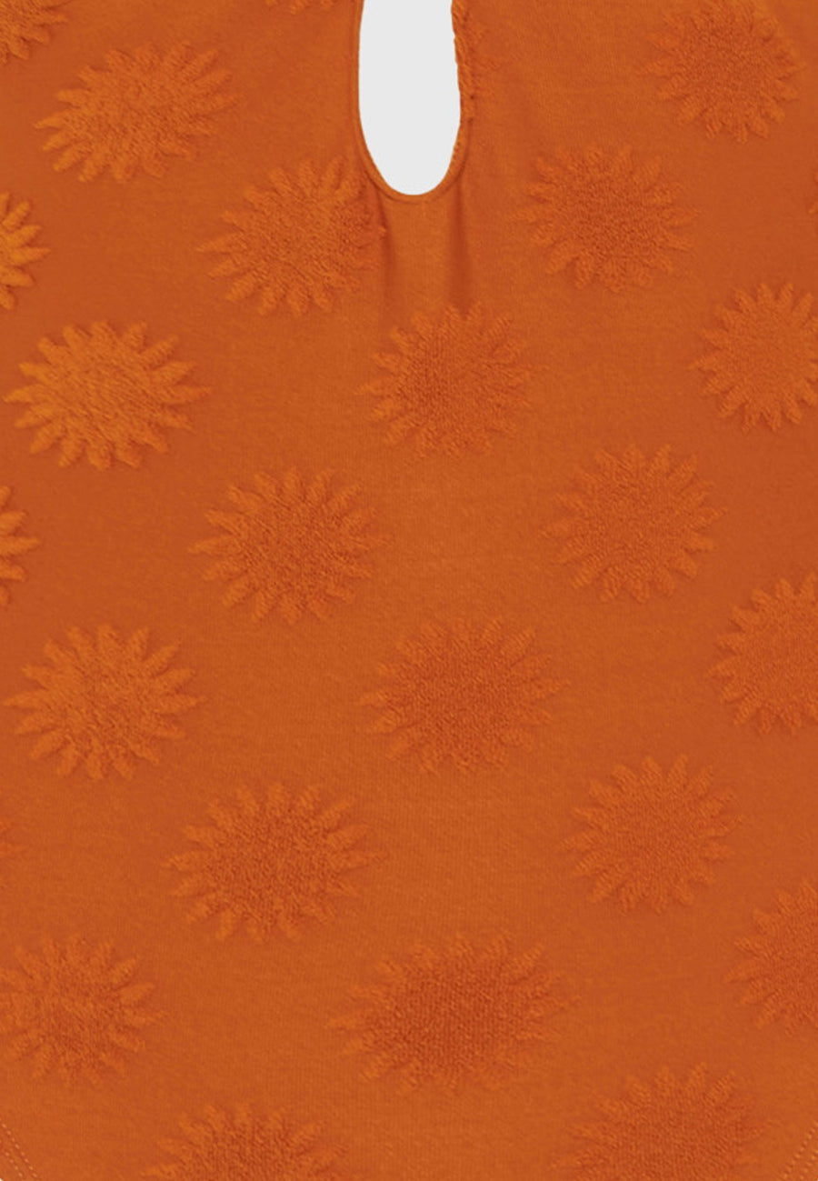 SPICY PUMPKIN