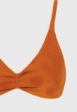 SPICY PUMPKIN