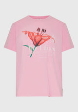 CANDY PINK