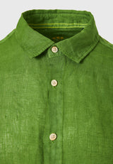 GRASS GREEN