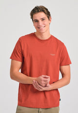 SPICE BROWN