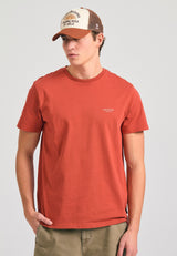 SPICE BROWN
