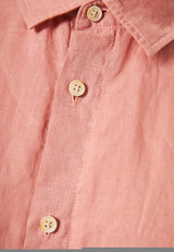 DRY PEACH