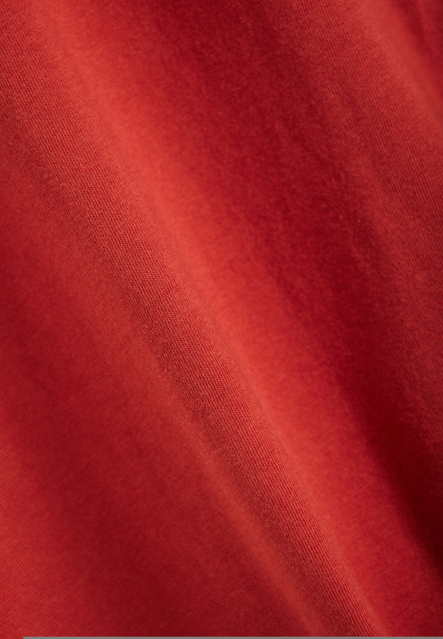 SPICE BROWN