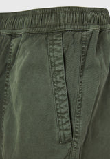 DUSTY GREEN