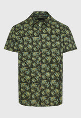 DK KHAKI