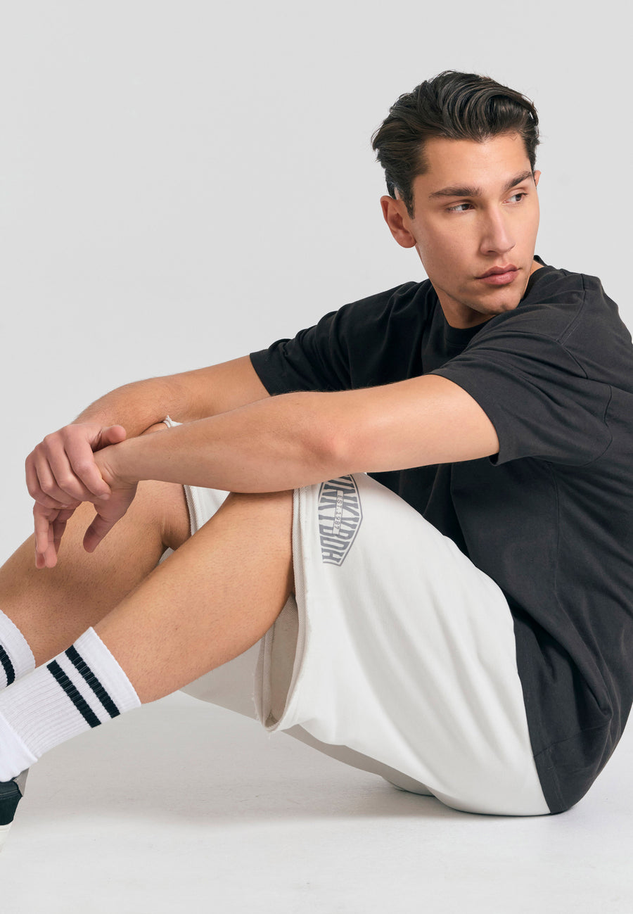 Pantaloni scurți jogger supradimensionați cu imprimeu Funky Buddha - Mist