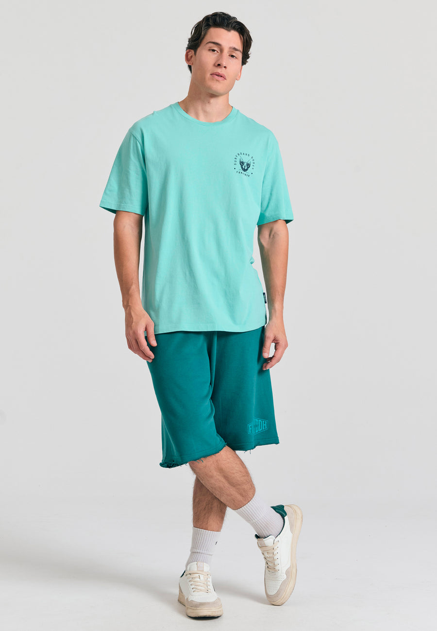 Tricou cu croială lejeră și imprimeu pe spate - Aqua